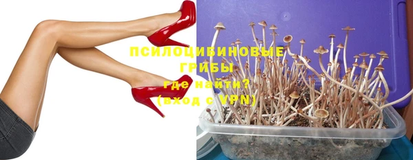 дурь Михайловск