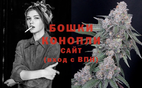 СК Михайлов