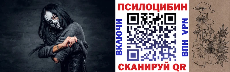 как найти Приволжск Псилоцибиновые грибы GOLDEN TEACHER